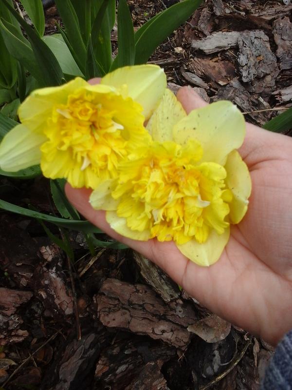 20190416_122023