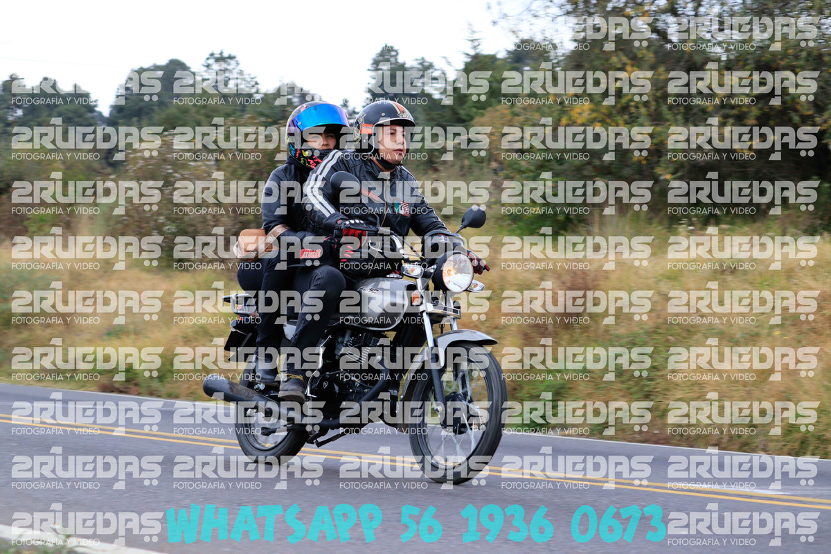 MG 0819 — Postimages