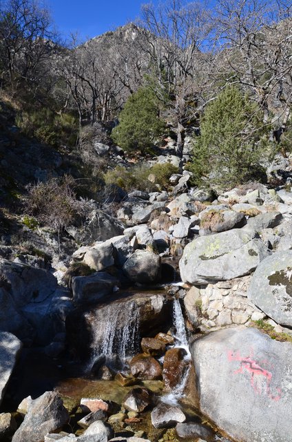 RUTA EMBALSE DEL HORCAJO Y GARGANTAS DEL VALLE DEL TIETAR-20-2-2016-AVILA - Paseando por España-1991/2016 (52)