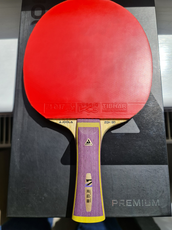 2. JOOLA ZQH SALC FL nr. 2 (2)