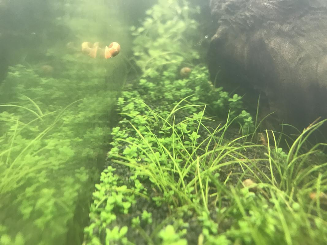 021EE91E-BD5B-4E51-BCF0-813E34A5AD44