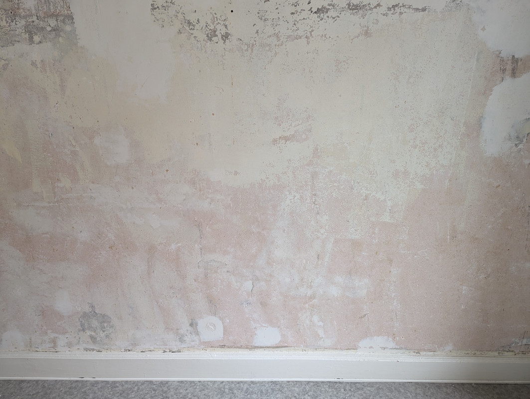 PXL_20231030_091838473