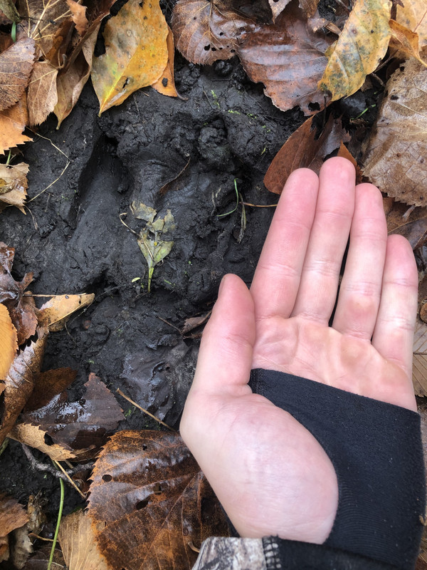 13DEBD31-5790-4433-B58B-9E50E8302732