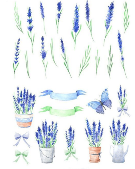 Watercolor Blue Lavender Flowers