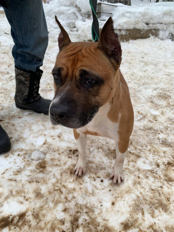 WhatsApp Image 2024-01-31 at 13.35.20 (1)