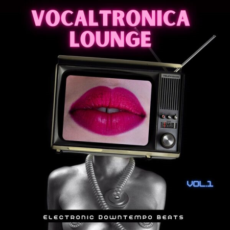 VA - Vocaltronica Lounge Vol 1 (Electronic Downtempo Beats) (2022)