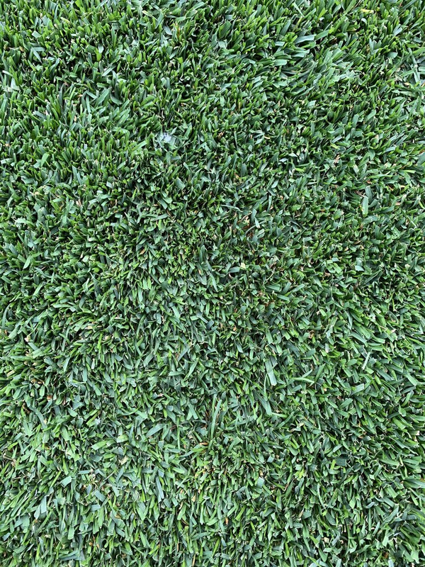 E9C60551-956F-4E10-94C3-925E0FFD11A7