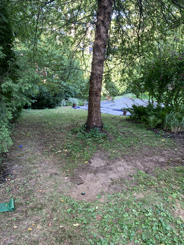 17E590DF-076D-4BD3-A1CC-467AE213DE5F