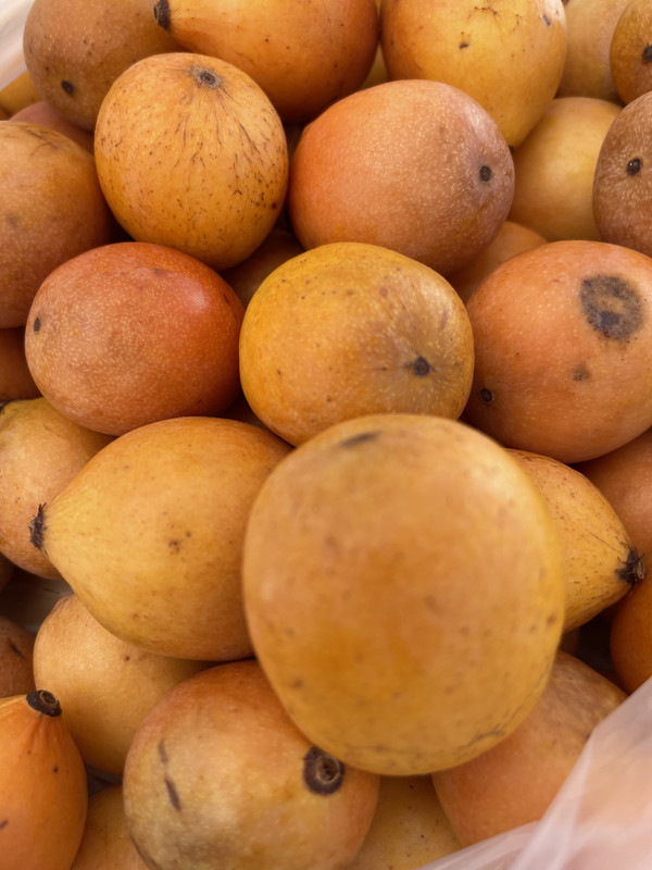 51BECBEF-91A3-4D22-9F54-1033A0AC27F8