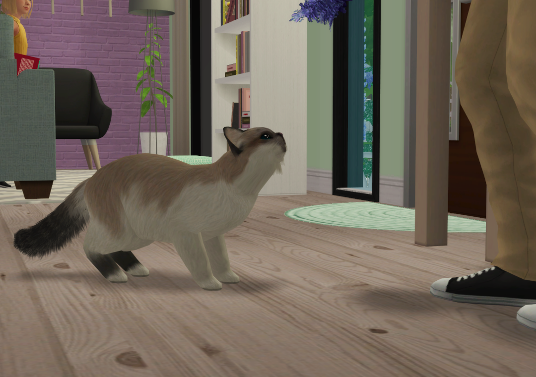 Sims2-EP9-RPC-2022-10-10-15-57-52-69