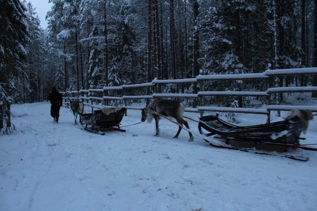 ¿Que más se puede hacer en Rovaniemi? - Finlandia, mucho más que Papa Noel (4)