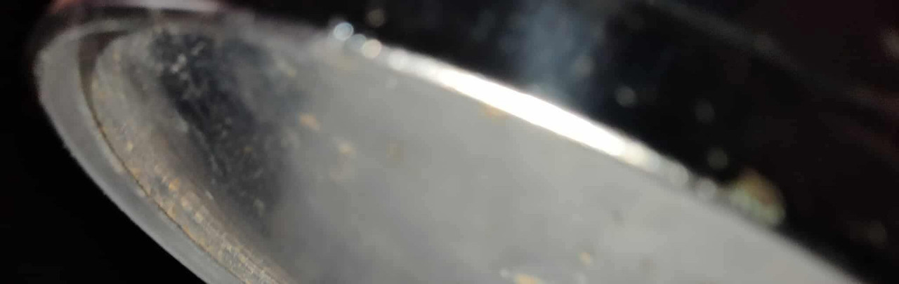 a6dad9299731fe06728a25eaf9bd9a33