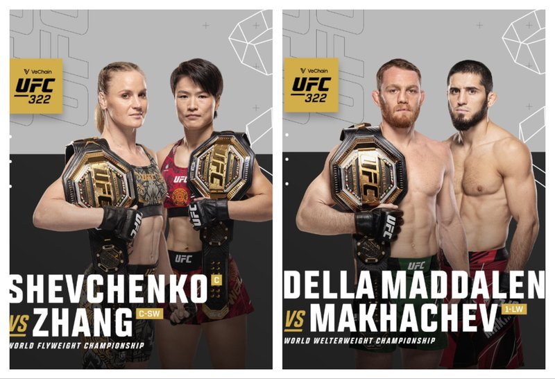 Дела Мадалена-Махачев и Шевченко-Жан в UFC 322