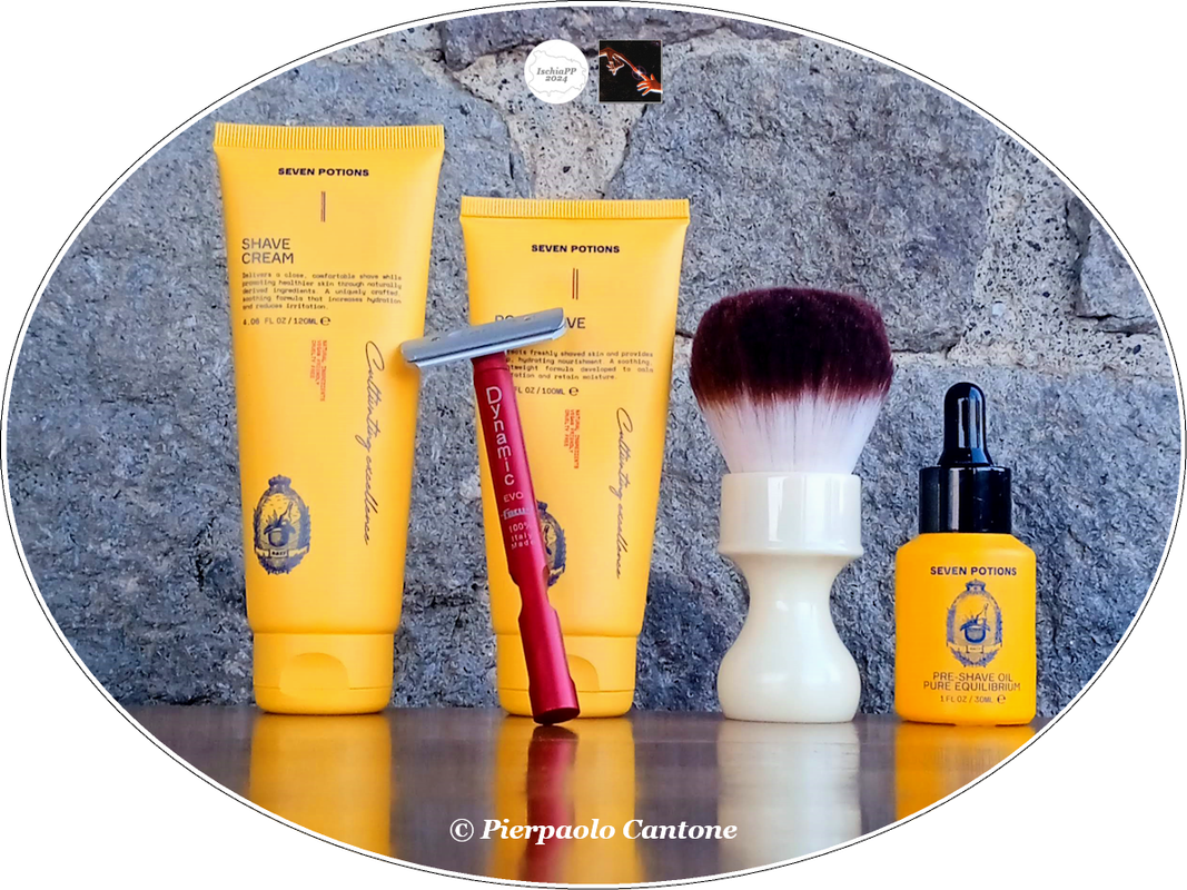 SOTD20240202_Dinamico2