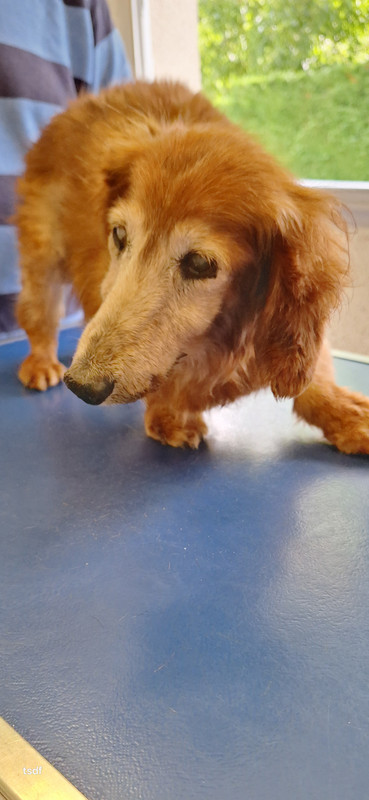 [Image: 20250606-180305.jpg]