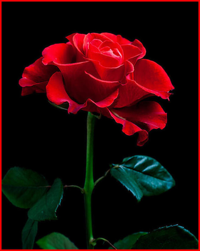 38F6AE9F-A1F3-4501-84E7-DACC32473E61