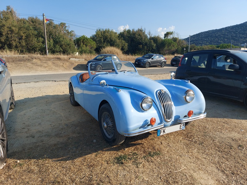 i.postimg.cc/NMfFSPYy/Jaguar.jpg