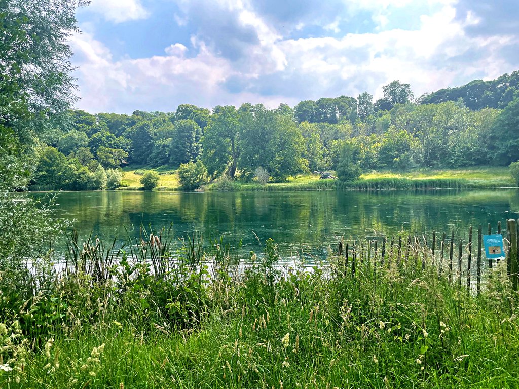 woods-bottom-lake.jpg