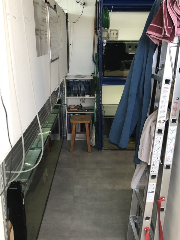 EGWa6VHESkOs70Jqj0TfKA