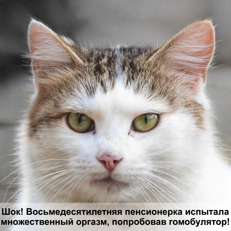 как сделать кошку