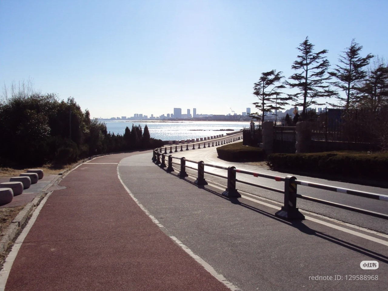 photo 8 2026 01 03 21 19 51