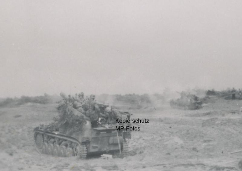 Panzer LW Felddivision HG Tiger Camo Tarn Späh S