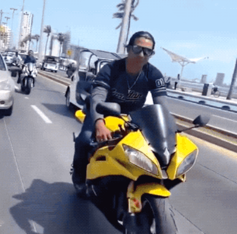 336.gif