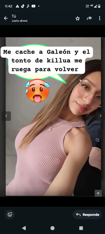 Screenshot_20241122-114211