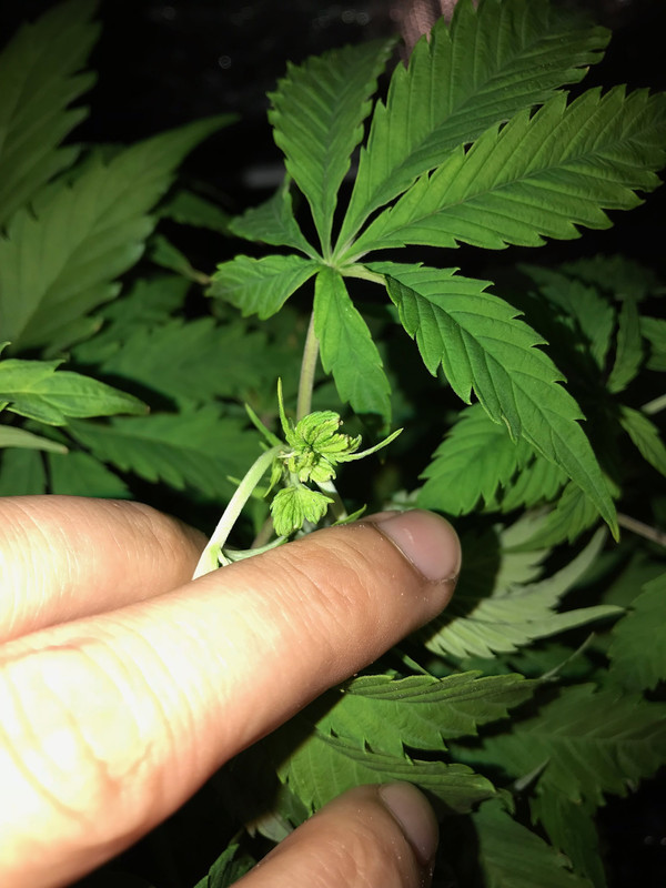 563FBEE7-099B-4109-BB0F-408FDDA2C74F