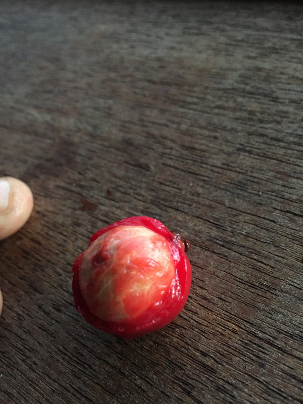 EF927B63-30AE-4A94-BFEE-C3E2E2F1EE5F