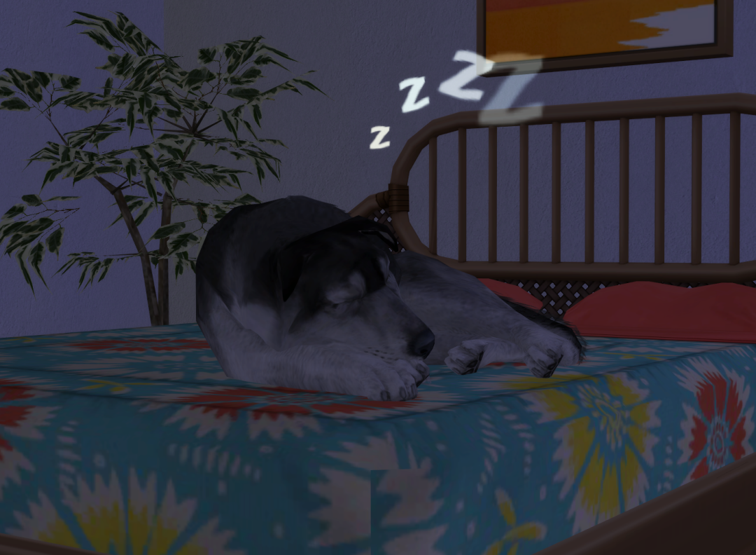 Sims2-EP9-RPC-2022-12-20-20-19-51-64