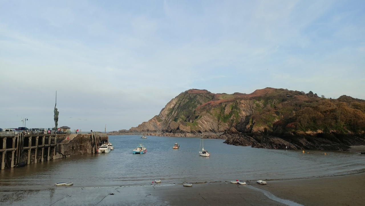 IMG20251011165835 (Large)