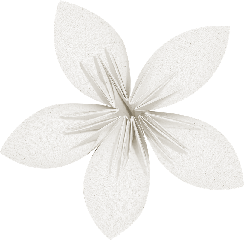 Maguette_NothingFades_el (33)