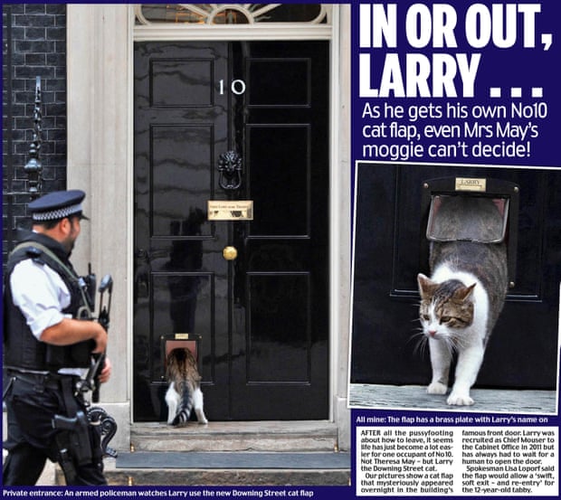larryforpm - Moggy Thread 3 - Page 8 Larry-catflap