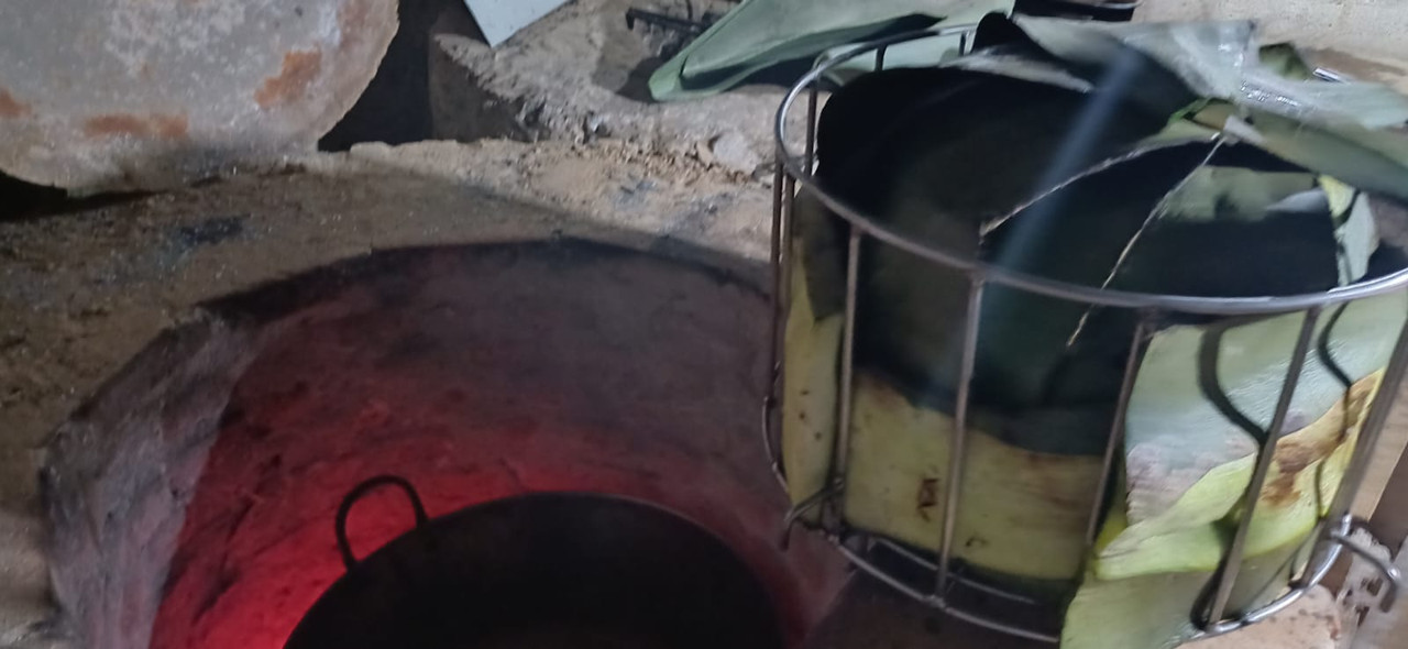 Horno de barbacoa sellado - cocción lenta