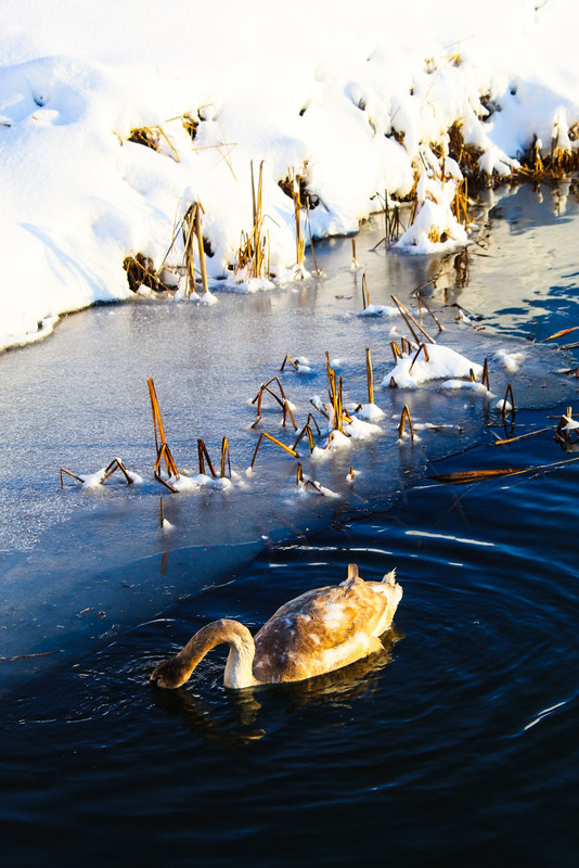 612542818-1996687537943412-5434639959612