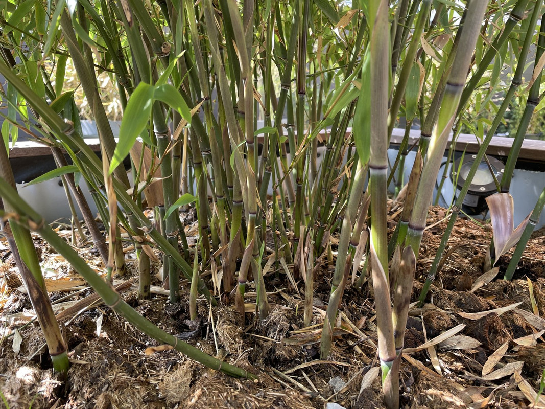 53309024-CD0F-44DB-A3EC-579715A5ADD8