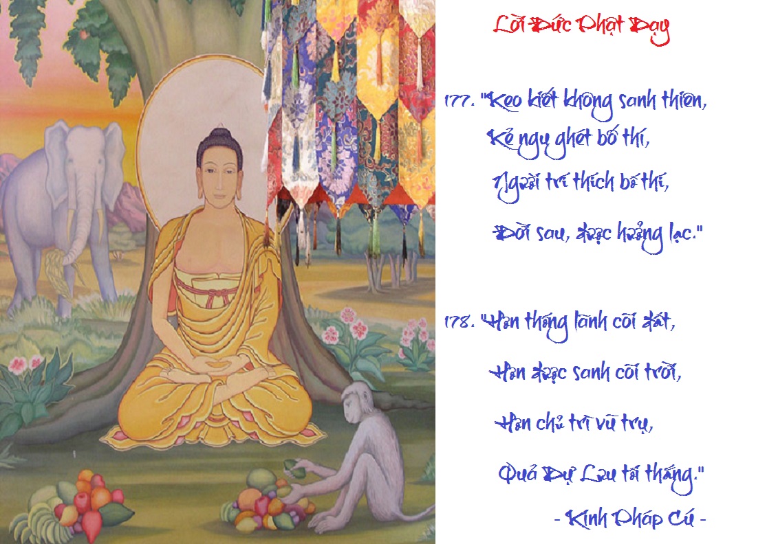 [Image: VERSE176177.jpg]