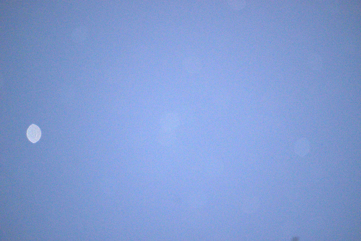 DSC02221-jpg-first-loss-of-manual-focus-