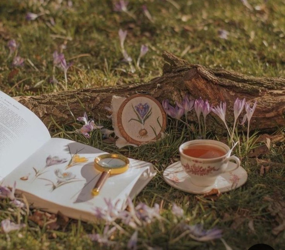 Screenshot_20240604_155027_Pinterest