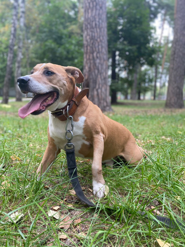 5EE4C9EE-4506-4CA3-86CC-BBE9145139E5