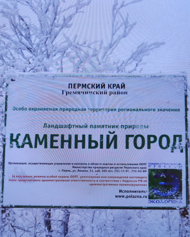 IMG-20230705-121230.jpg