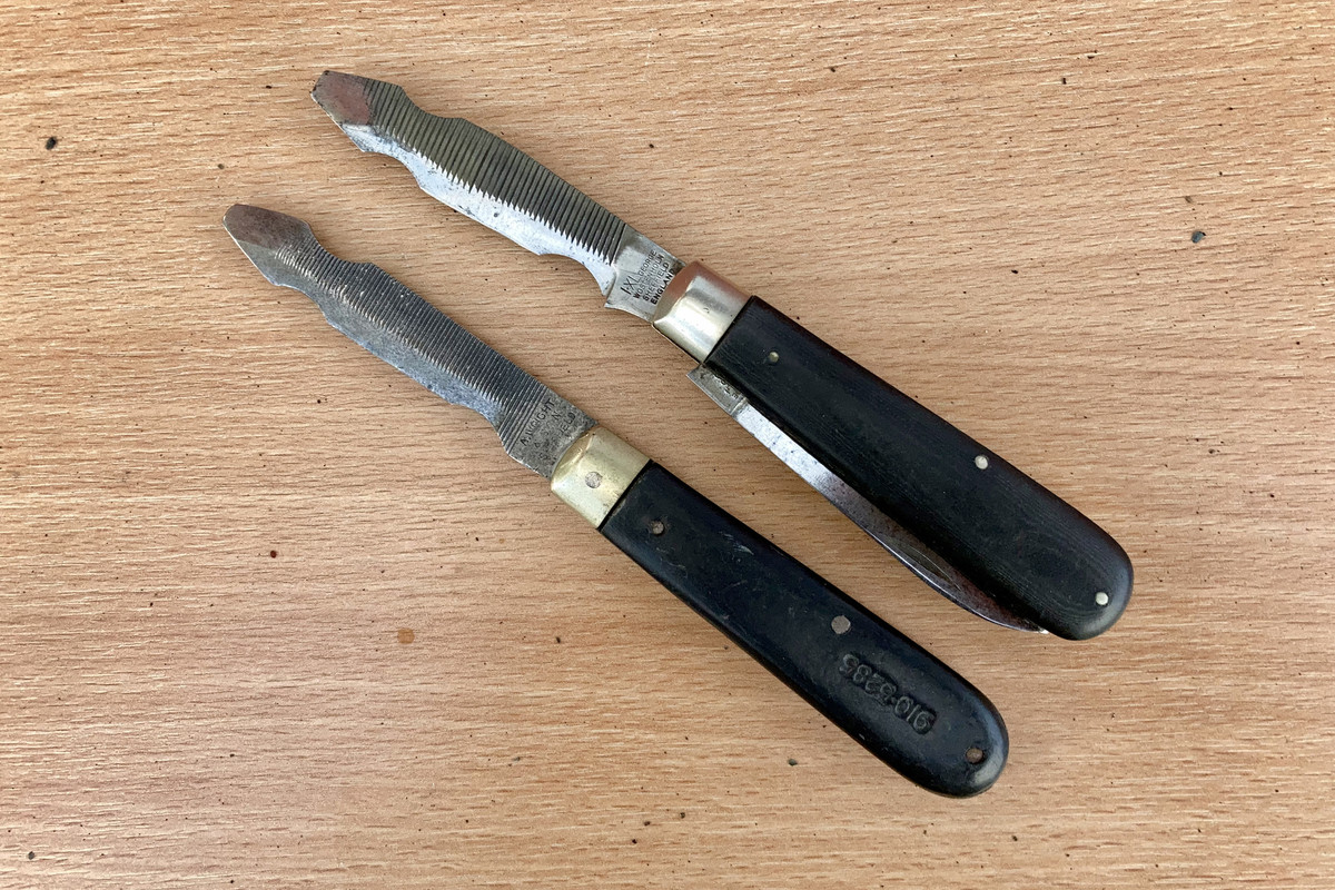 DF563CAE-9E26-4939-B33E-61F2C3DA4E00