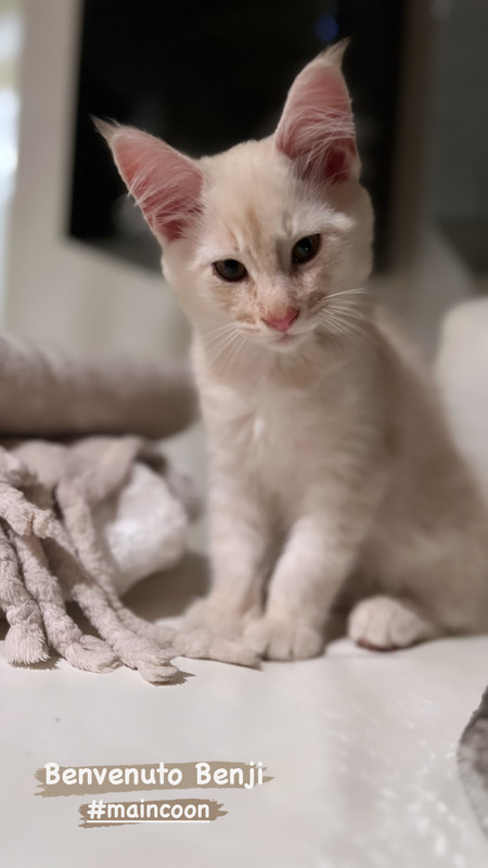 7650A5CF-89BE-49C4-93BB-E7513DDCA4AC