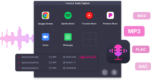 Viwizard Audio Capture 2.1.0.14 Multilingual