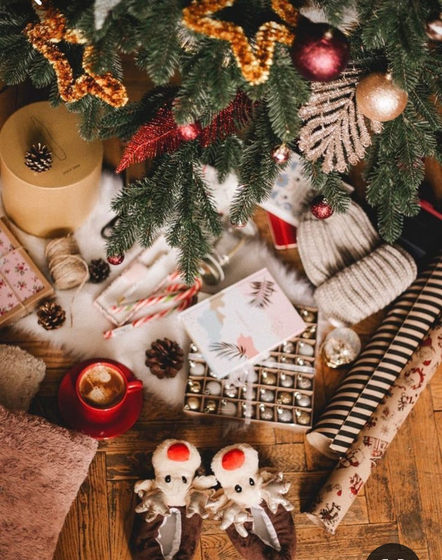 Screenshot_20231120_222856_Pinterest