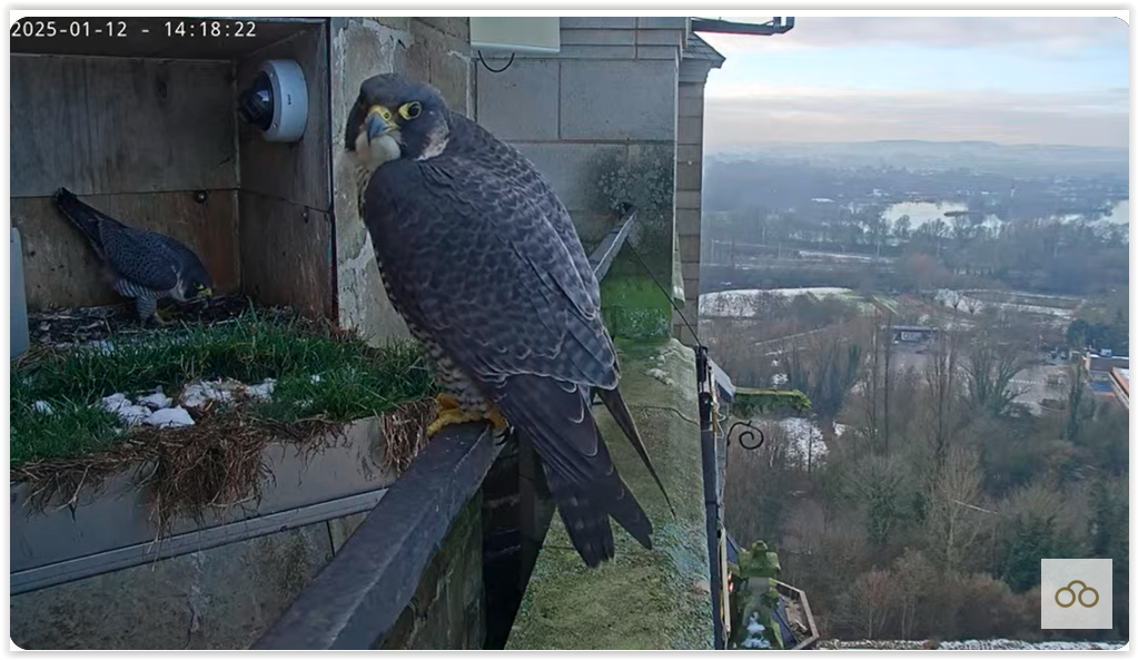 Screen Shot 01-12-25 at 07.13 PM 001