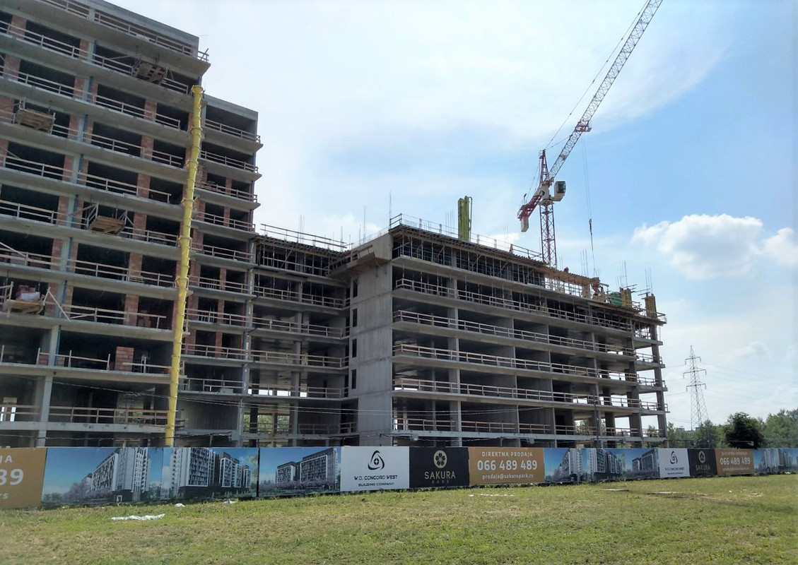 Сакура7 2020-06-09