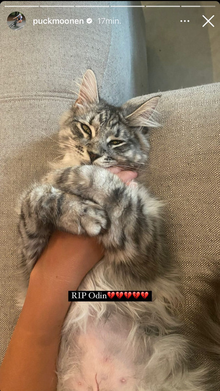 AEBA7BD7-4150-4487-8335-1C9D452F3CEB