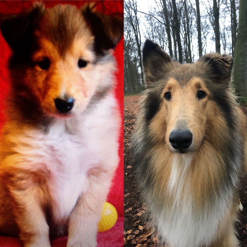 8DA0192A-29E0-4619-BCD1-62C1A40772C8